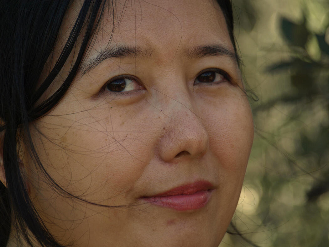 Wildflowers' Movement- Denise Maratos