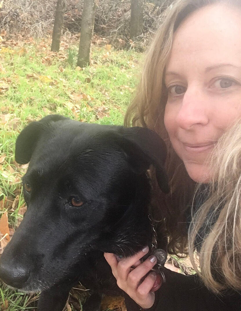 Wildflowers' Movement- Denise Maratos